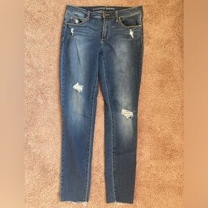 Articles of Society size 30